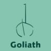 Scheepsmakelaardij Goliath Leer